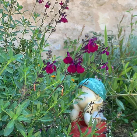 Le Hangar * Saint-Jean-dʼAngély