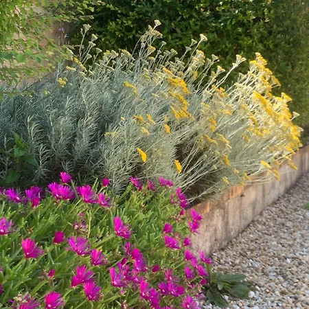 Le Hangar Saint-Jean-dʼAngély